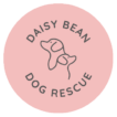Daisy Bean Animal Rescue